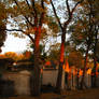 Couchant au Pere Lachaise