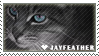 Jayfeather stamp