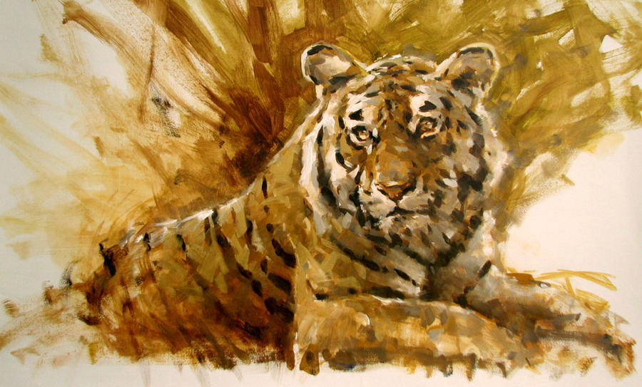 tiger study