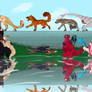 Mirror Lake