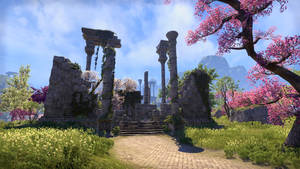 Elder-scrolls-online-screenshot-01