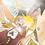 One Piece Chapter 844+ Luffy vs Sanji Nami