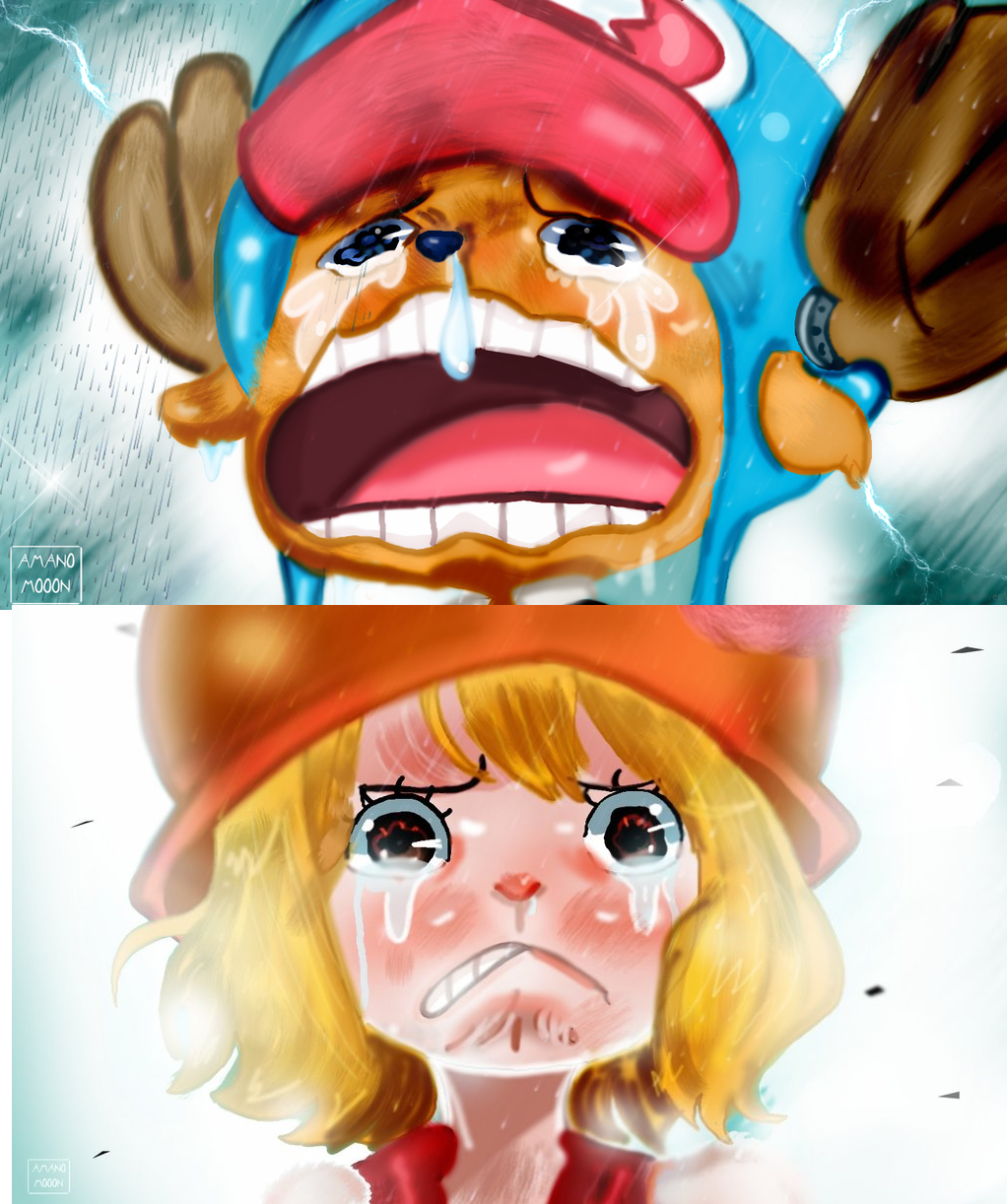 One Piece Chapter 879 Chopper Nami Carrot Cry Sad By Amanomoon On Deviantart