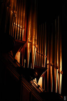 Cathedral Organ Pipes