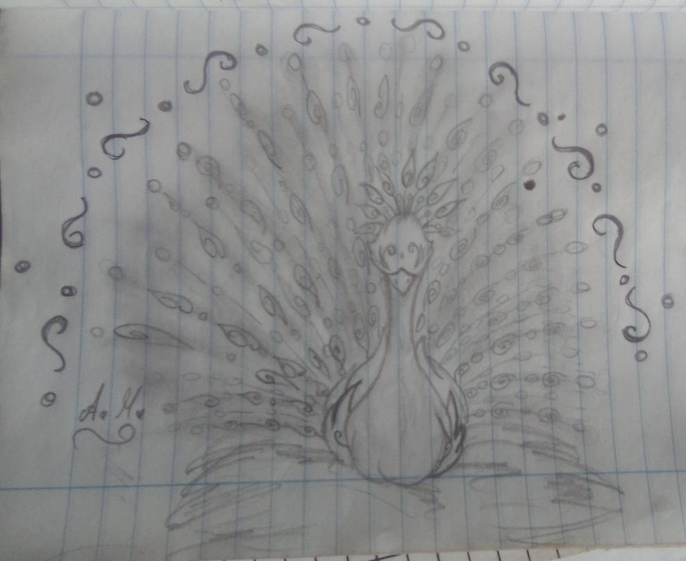 practica de dibujo a lapiz de pavo real by AngelaFoxDraw on DeviantArt practica de dibujo a lapiz de pavo real by AngelaFoxDraw on DeviantArt