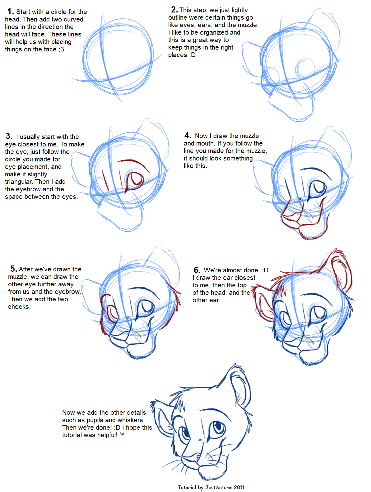 How to Draw Felines: Head