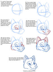 How to Draw Canines: Head