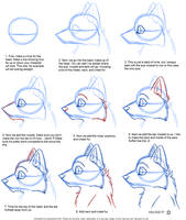 How to Draw: Canine Profile Tutorial