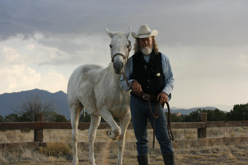 Man and Horse
