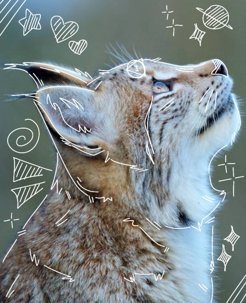 Lynx Therian By Forestherians On DeviantArt lynx-therian-by-forestherians-on-deviantart
