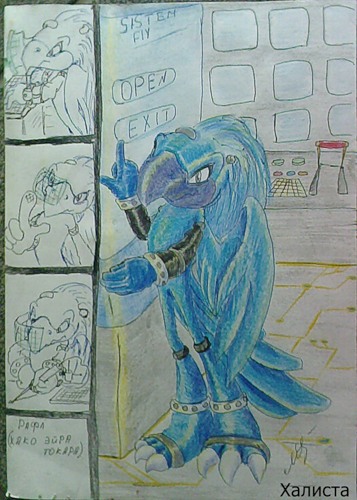 Rafl Hacko Eira Tocara The blue macaw