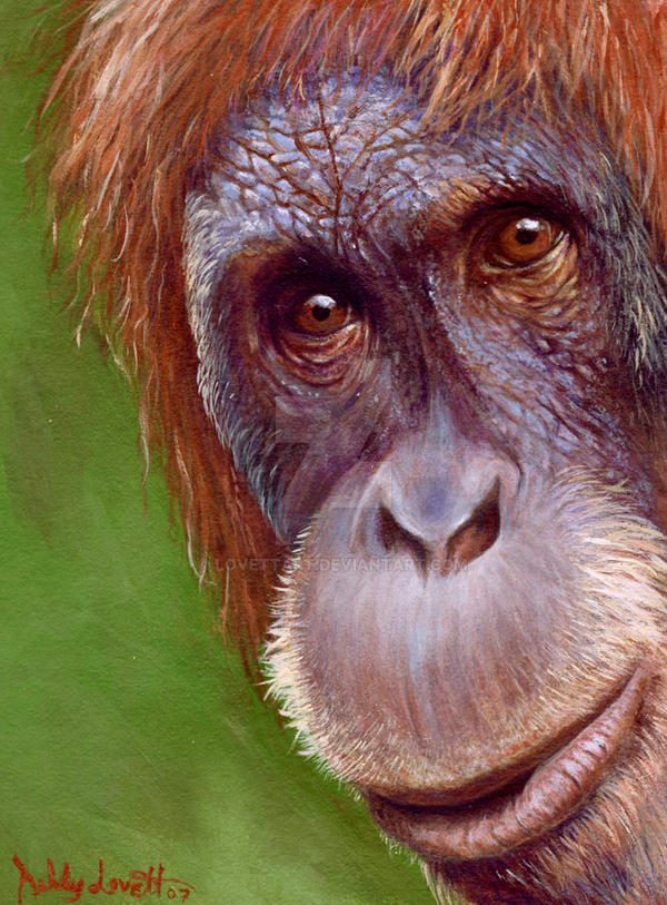 Deviantart 2007 Monkey Monkey by Lovettart on DeviantArt
