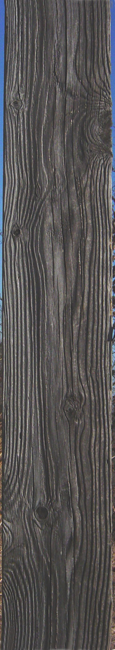 weathered plank