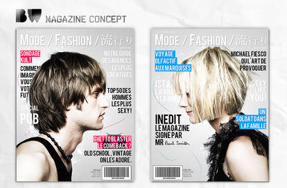 Dual Magazine Concept