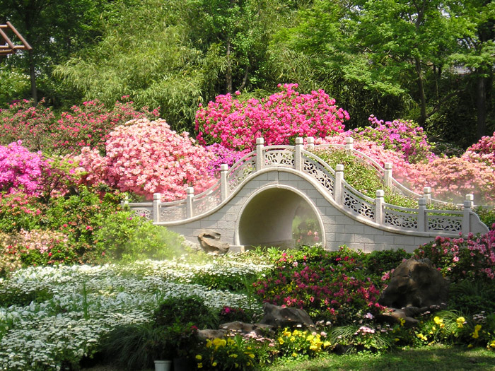 Garden and bridge