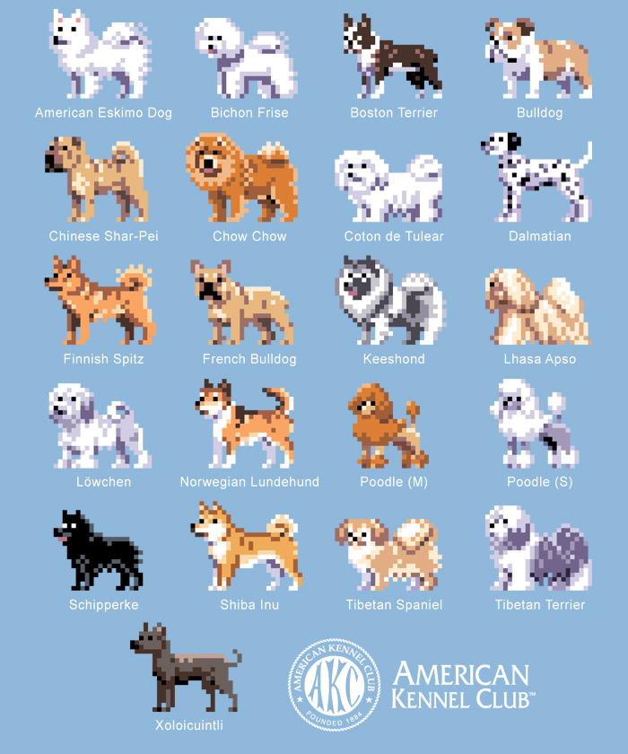 Pixel Pups - non-sporting group tee