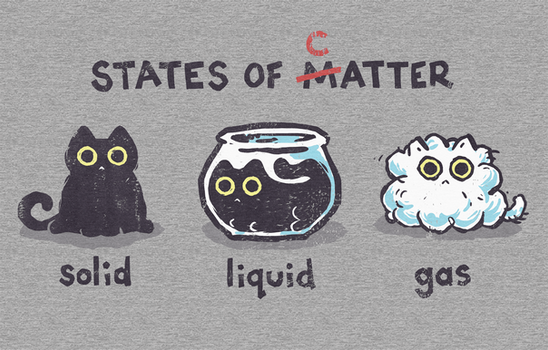 States of Catter - tee