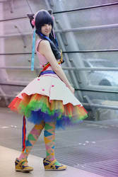 Nyan Cat Cosplay