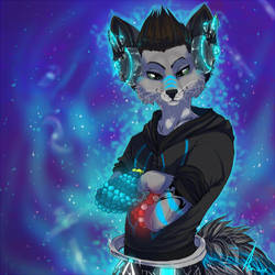 My Fursona Todd Squall