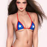 American Micro Bikini (1)