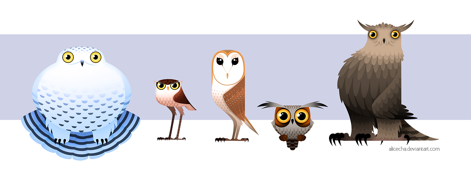 Owls