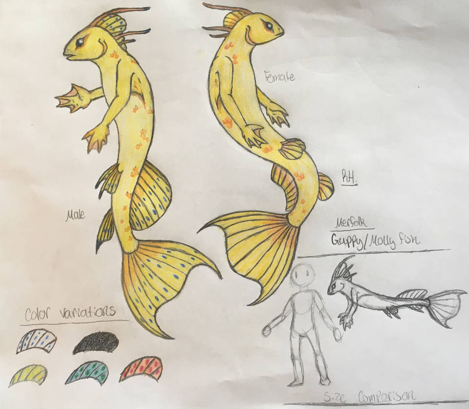 merfolk concept 2 by Neptunian-Faerie on DeviantArt