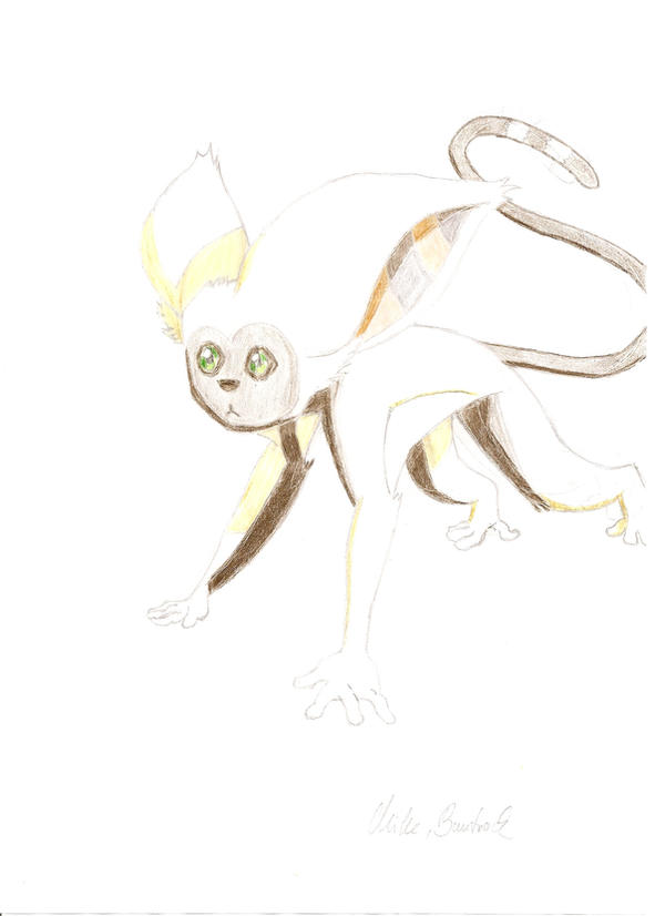 Momo Draw by Katara-Waterbender on DeviantArt