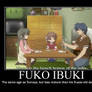 Fuko's Maturity Level...