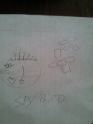 Spy Bird