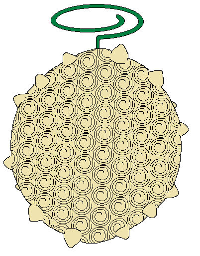 Ki Ki no Mi by KusaNin on DeviantArt