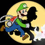Adventures of Luigi