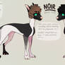 Noir - fursona/mascot ref