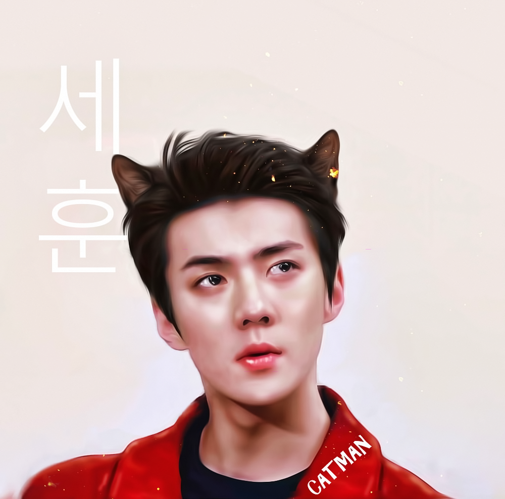 Sehun / CATMAN