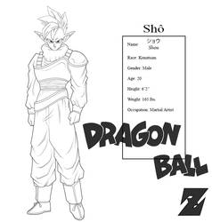 Dragon Ball Z: Shou