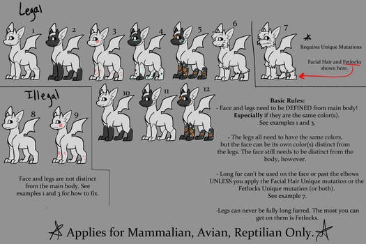 [Amourim] Face and Leg Rule