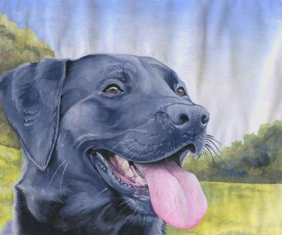 Black Lab Deviantart Black Labrador Study by FeatherGale on DeviantArt