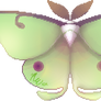 Pixel Doll - Luna Moth