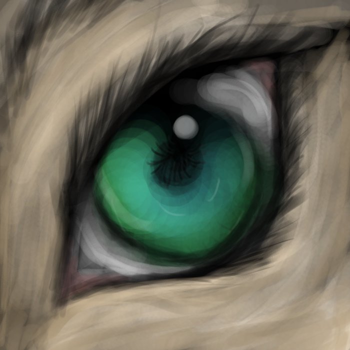 Eye Study 1