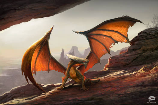 Canyon Dragon