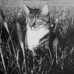 Longing To Feel Again