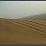 Track in the sand dune