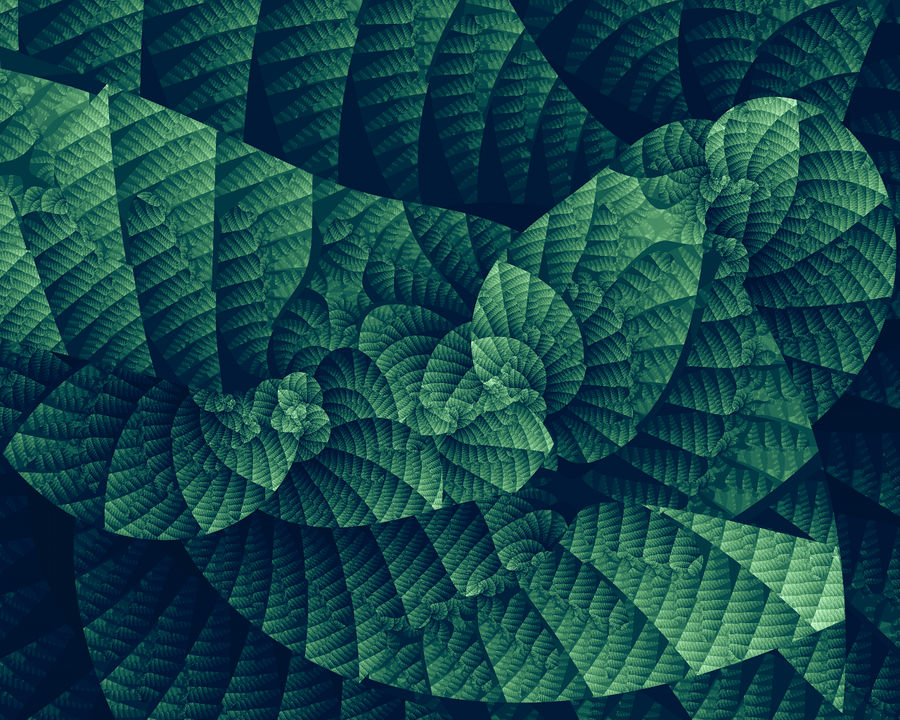 Structure Shell Art Shell Structure by richrockster on DeviantArt