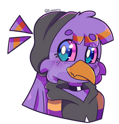 [C] Birb