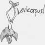 ME- Levicorpus