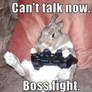 Even Rabbits Love Games