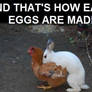 How Easter Eggs Are Made