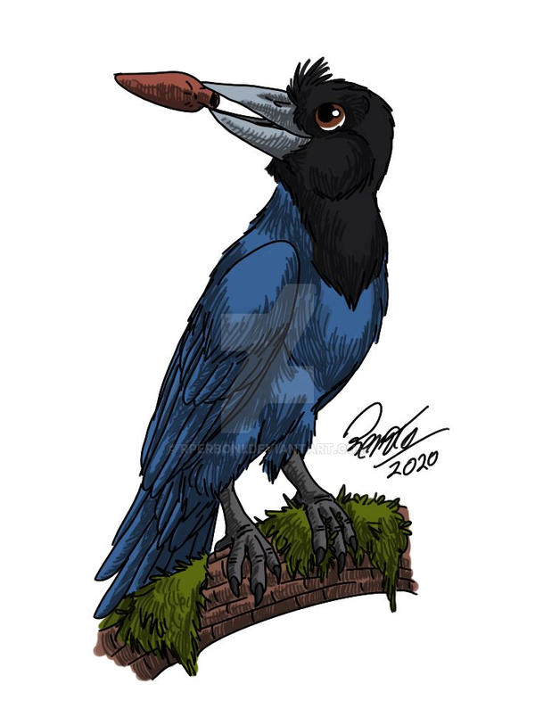 BRAZILIAN FOLKLORE - Azure Jay by RPerboni on DeviantArt