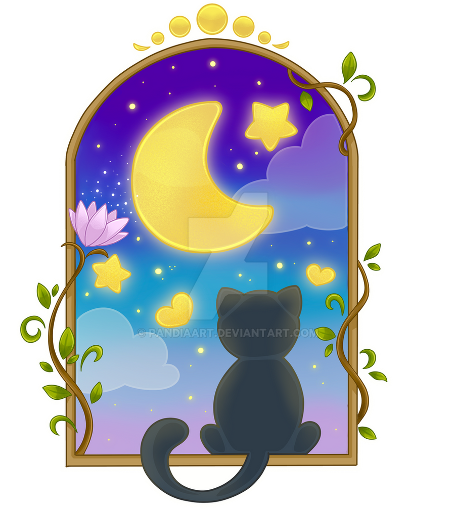 Mezzanotte