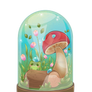 The Little Frog s Oasis