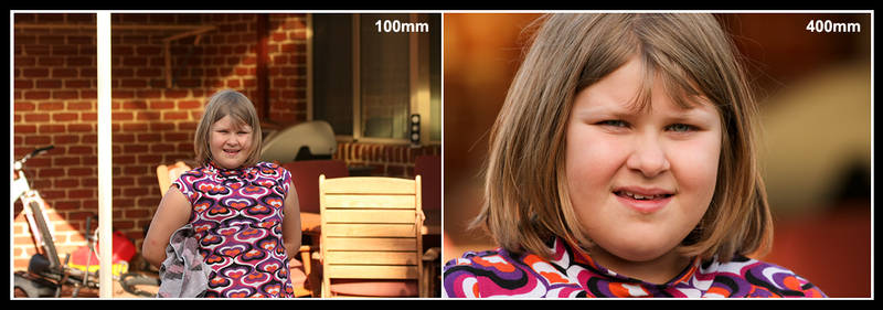 Canon 100 400mm comparison